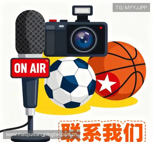 咨询定制